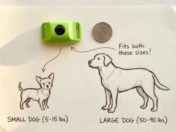 12 Months Flea And Tick Free