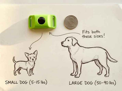 12 Months Flea And Tick Free