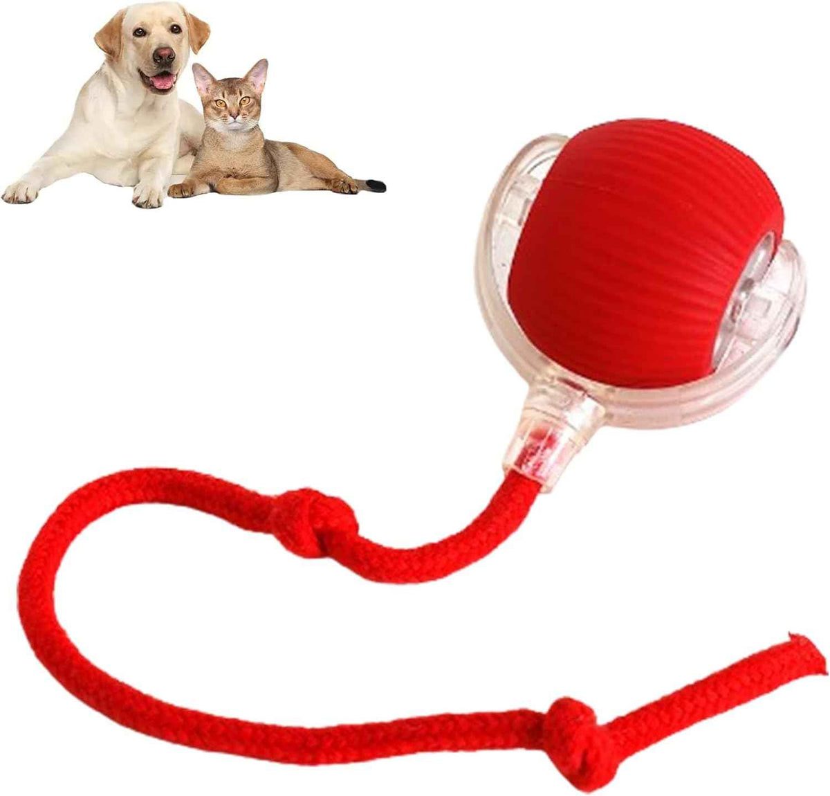 Interactive Cat Ball with Rope & Wake-Up Function