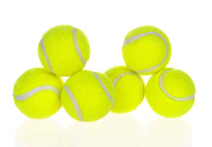 Interactive Dog Ball Launcher: Keep Your Pup Active and Engaged!