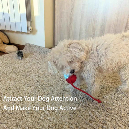 Interactive Cat Ball with Rope & Wake-Up Function