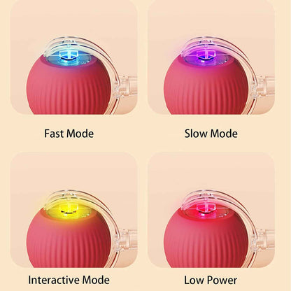 Interactive Cat Ball with Rope & Wake-Up Function