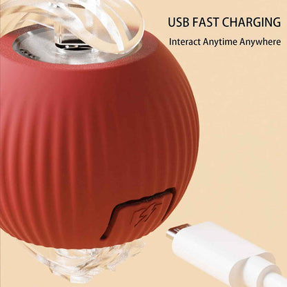 Interactive Cat Ball with Rope & Wake-Up Function