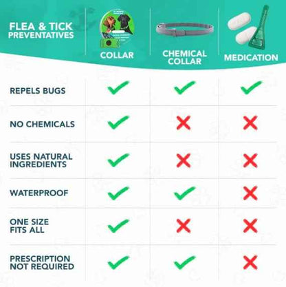 12 Months Flea And Tick Free