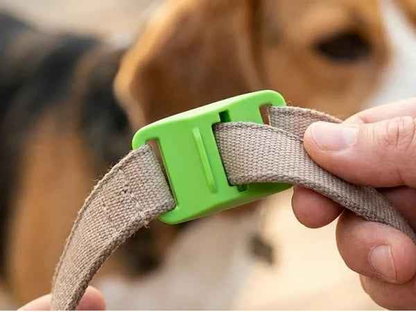 12 Months Flea And Tick Free