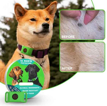 12 Months Flea And Tick Free