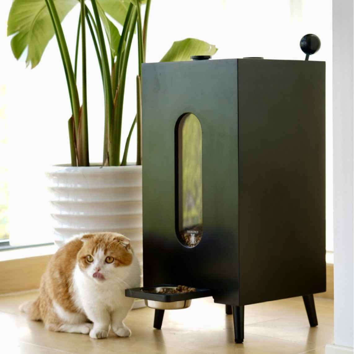 Wooden Pet Feeder Large Capacity