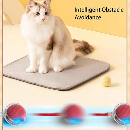 Interactive Cat Ball with Rope & Wake-Up Function