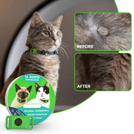 12 Months Flea And Tick Free